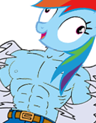 Size: 250x320 | Tagged: safe, edit, rainbow dash, human, derp, muscles, rainbuff dash, wat