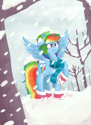 Size: 800x1100 | Tagged: dead source, safe, artist:xieril, rainbow dash, pegasus, pony, boots, clothes, hat, scarf, snow, snowfall, solo