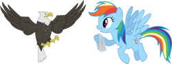 Size: 900x338 | Tagged: artist needed, safe, rainbow dash, bald eagle, bird, eagle, pegasus, pony, may the best pet win, duo, flying, simple background, tissue, transparent background, vector