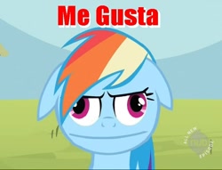 Size: 680x519 | Tagged: safe, rainbow dash, pegasus, pony, blue coat, female, funny, mare, me gusta, meme, multicolored mane, solo