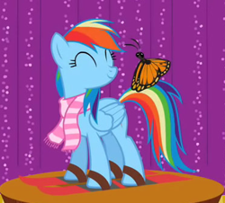 Size: 372x337 | Tagged: safe, screencap, rainbow dash, butterfly, pegasus, pony, may the best pet win, skis