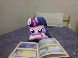 Size: 3264x2448 | Tagged: safe, artist:fluttershy7, artist:ojhat, princess celestia, princess luna, twilight sparkle, bed, book, elements of harmony, irl, photo, pillow, ponies in real life, reading, solo, vector