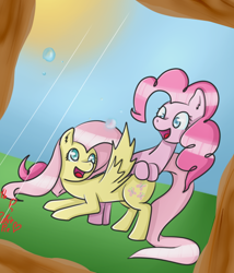 Size: 600x700 | Tagged: safe, artist:ladymiittens, fluttershy, pinkie pie, earth pony, pegasus, pony, crying, female, flutterpie, lesbian, picture frame, shipping