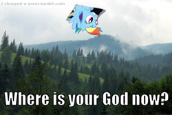 Size: 1024x684 | Tagged: safe, editor:i-shooped-a-pwny, rainbow dash, pegasus, pony, blue coat, ceiling cat, female, mare, multicolored mane, solo, where is your god now?