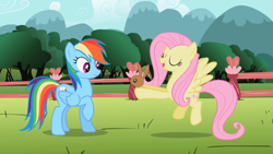 Size: 640x360 | Tagged: safe, screencap, fluttershy, rainbow dash, pegasus, pony, rabbit, may the best pet win, eyes closed, find a pet