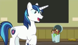 Size: 789x465 | Tagged: safe, screencap, shining armor, pony, unicorn, a flurry of emotions, art exhibition, solo, trash can