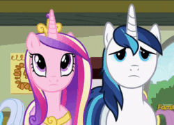Size: 400x288 | Tagged: safe, derpibooru import, screencap, princess cadance, shining armor, alicorn, pony, unicorn, a flurry of emotions, animated, cute, cutedance, discovery family logo, female, gif, loop, male, mare, reaction, reaction image, shining adorable, stallion