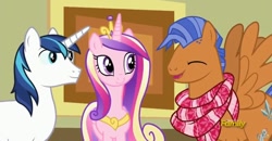 Size: 852x442 | Tagged: safe, screencap, princess cadance, shining armor, spearhead, alicorn, pony, unicorn, a flurry of emotions, art exhibition, spread wings, wings