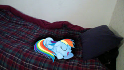 Size: 1024x576 | Tagged: safe, artist:xloginmanx2000, rainbow dash, bed, irl, photo, ponies in real life, sleeping