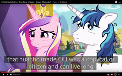 Size: 1920x1200 | Tagged: safe, screencap, princess cadance, shining armor, alicorn, pony, unicorn, a flurry of emotions, bags under eyes, meme, youtube caption