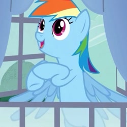 Size: 375x375 | Tagged: safe, screencap, rainbow dash, pegasus, pony, spike at your service, female, mare