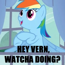 Size: 750x750 | Tagged: safe, rainbow dash, pegasus, pony, spike at your service, ernest p. worrell, jim varney, window