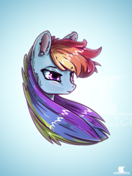 Size: 1200x1600 | Tagged: safe, artist:adorkablicous, rainbow dash, pegasus, pony, bust, fluffy, portrait, solo