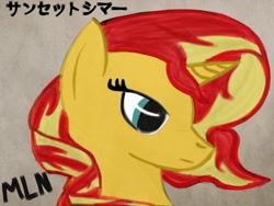 Size: 2048x1536 | Tagged: safe, artist:mylittleninja, sunset shimmer, pony, equestria girls, equestria girls ponified, ink, japanese, katakana, ponified, solo