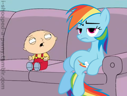 Size: 1280x966 | Tagged: safe, edit, editor:i-shooped-a-pwny, rainbow dash, pegasus, pony, crossover, family guy, stewie griffin