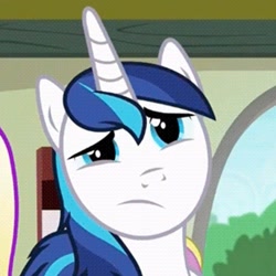 Size: 853x853 | Tagged: safe, screencap, shining armor, pony, unicorn, a flurry of emotions, cropped, solo focus