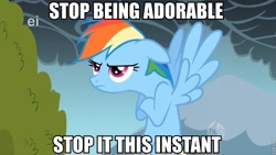 Size: 830x467 | Tagged: safe, edit, screencap, rainbow dash, pegasus, pony, caption, crossed hooves, cute, floppy ears, flying, frown, glare, image macro, solo, spread wings, unamused