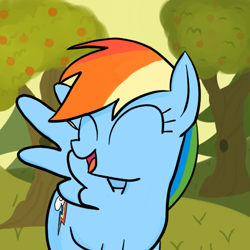 Size: 512x512 | Tagged: safe, rainbow dash, pegasus, pony, blue coat, female, happy, mare, multicolored mane, smiling