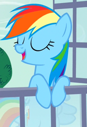 Size: 432x632 | Tagged: safe, screencap, rainbow dash, pegasus, pony, spike at your service, female, mare, window