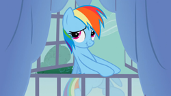 Size: 1920x1080 | Tagged: safe, screencap, rainbow dash, pegasus, pony, spike at your service, cute, dashabetes, flying, looking up, scrunchy face, window