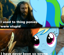 Size: 500x427 | Tagged: safe, rainbow dash, pegasus, pony, comic, crossover, misspelling, the hobbit, thorin oakenshield