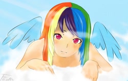 Size: 1465x925 | Tagged: safe, artist:fedte, rainbow dash, clothes, female, humanized, multicolored hair, winged humanization