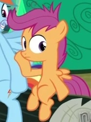 Size: 244x327 | Tagged: safe, screencap, rainbow dash, scootaloo, pegasus, pony, animation error, cropped, frown, looking at you, messy mane, scootaboy, sitting, solo focus, wide eyes