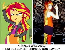 Size: 871x669 | Tagged: safe, sunset shimmer, equestria girls, equestria girls (movie), hayley williams, paramore