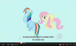 Size: 696x419 | Tagged: safe, screencap, fluttershy, rainbow dash, pegasus, pony, female, mare, wings, youtube caption