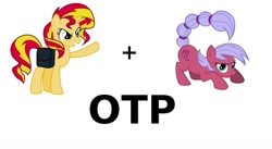 Size: 1024x563 | Tagged: safe, sunset shimmer, pony, exploitable meme, female, lesbian, otp, ponyscopes, scorpio, shipping, zodiac