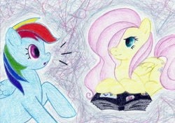 Size: 1024x720 | Tagged: safe, fluttershy, rainbow dash, pegasus, pony, alarm, alex warlorn, fanfic, fanfic art, fluttercruel, photo album, pony pov series, reharmonized ponies