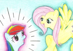 Size: 1024x724 | Tagged: safe, fluttershy, rainbow dash, pegasus, pony, alex warlorn, fanfic, fanfic art, fluttercruel, pony pov series, reharmonized ponies