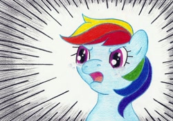 Size: 1024x719 | Tagged: safe, rainbow dash, pegasus, pony, alex warlorn, crying, fanfic, fanfic art, photo, pony pov series, reharmonized ponies, yelling