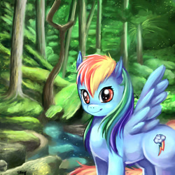 Size: 700x700 | Tagged: safe, artist:sukesha-ray, rainbow dash, pegasus, pony, cute, scenery, solo