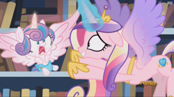 Size: 1956x1096 | Tagged: safe, screencap, princess cadance, princess flurry heart, alicorn, pony, the crystalling, cloth diaper, diaper, discovery family logo, faic, library, pre sneeze, reaching, safety pin