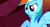 Size: 841x461 | Tagged: safe, screencap, rainbow dash, pegasus, pony, blue coat, female, mare, multicolored mane, scrunchy face