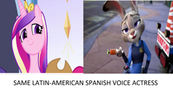 Size: 1920x1008 | Tagged: safe, princess cadance, alicorn, pony, exploitable meme, judy hopps, latin american, meme, romina marroquín payró, same voice actor, voice actor, zootopia