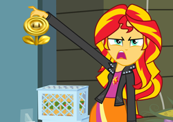 Size: 1016x720 | Tagged: safe, edit, sunset shimmer, equestria girls, exploitable meme, gold flower, meme, new super mario bros. 2, solo, sunset is disgusted, super mario bros.