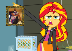 Size: 1016x720 | Tagged: safe, sunset shimmer, twilight sparkle, equestria girls, body pillow, exploitable meme, meme, sunset is disgusted