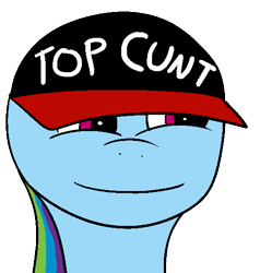 Size: 508x533 | Tagged: safe, rainbow dash, pegasus, pony, baseball cap, hat, top cunt, top gun, vulgar