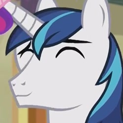 Size: 533x533 | Tagged: safe, screencap, shining armor, pony, unicorn, a flurry of emotions, cropped, cute, shining adorable