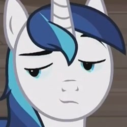 Size: 472x472 | Tagged: safe, screencap, shining armor, pony, unicorn, a flurry of emotions, cropped, cute, shining adorable, smug