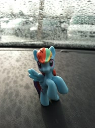 Size: 2592x1936 | Tagged: safe, rainbow dash, pegasus, pony, blue coat, female, irl, mare, multicolored mane