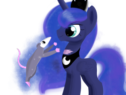 Size: 4000x3000 | Tagged: safe, artist:songbirdserenade, princess luna, tiberius, alicorn, opossum, pony, pet, simple background, transparent background