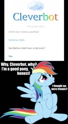 Size: 378x684 | Tagged: safe, rainbow dash, cleverbot, meme, spanking, text