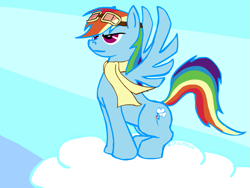 Size: 889x667 | Tagged: safe, artist:tristikov, rainbow dash, pegasus, pony, clothes, goggles, scarf, solo