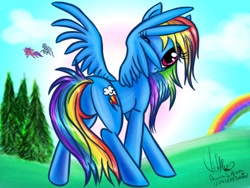 Size: 1024x768 | Tagged: safe, artist:1234lert7nan2, rainbow dash, pegasus, pony, butt, female, looking at you, looking back, looking back at you, mare, plot, solo, tree