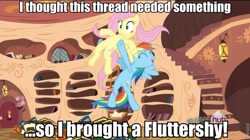 Size: 765x427 | Tagged: safe, fluttershy, rainbow dash, pegasus, pony, magic duel, female, image macro, mare, wings