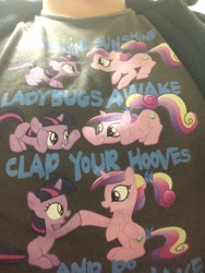 Size: 720x960 | Tagged: safe, princess cadance, twilight sparkle, alicorn, pony, clothes, merchandise, shirt, song reference