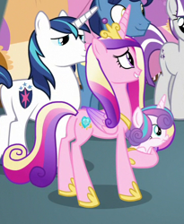 Size: 365x445 | Tagged: safe, screencap, night light, princess cadance, princess flurry heart, shining armor, twilight velvet, alicorn, pony, unicorn, once upon a zeppelin, cropped, plot